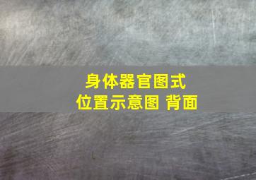 身体器官图式 位置示意图 背面